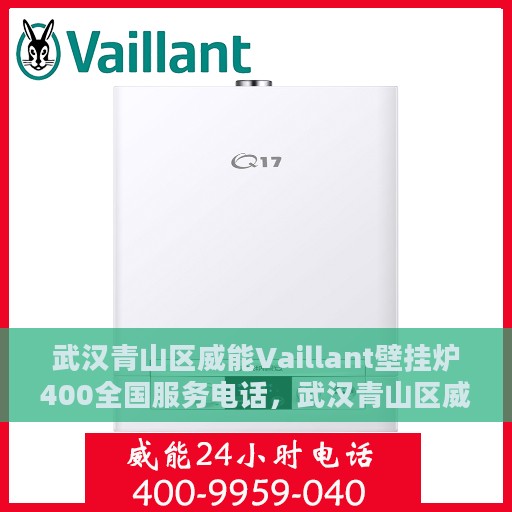 武汉青山区威能Vaillant壁挂炉400全国服务电话，武汉青山区威能Vaillant壁挂炉全国服务热线400专业支持团队
