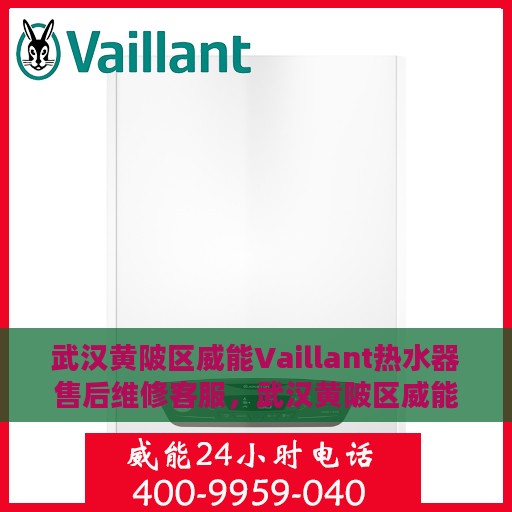 武汉黄陂区威能Vaillant热水器售后维修客服，武汉黄陂区威能Vaillant热水器售后维修服务热线与客服支持