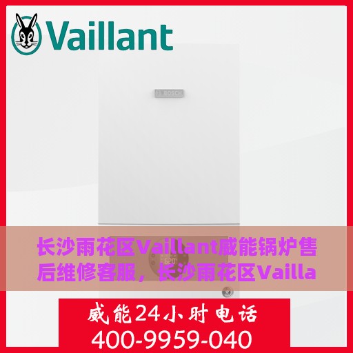 长沙雨花区Vaillant威能锅炉售后维修客服，长沙雨花区Vaillant威能锅炉专业售后维修与客服支持团队