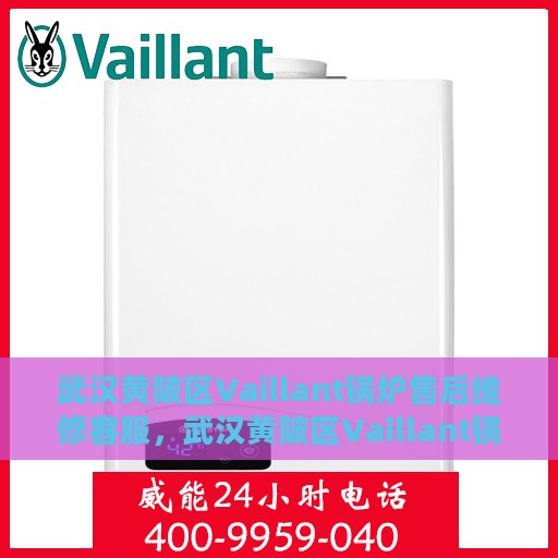 武汉黄陂区Vaillant锅炉售后维修客服，武汉黄陂区Vaillant锅炉专业售后维修与客服支持团队