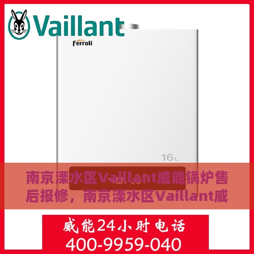南京溧水区Vaillant威能锅炉售后报修，南京溧水区Vaillant威能锅炉售后报修指南，专业维修团队为您排忧解难