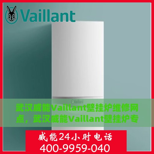 武汉威能Vaillant壁挂炉维修网点，武汉威能Vaillant壁挂炉专业维修网点
