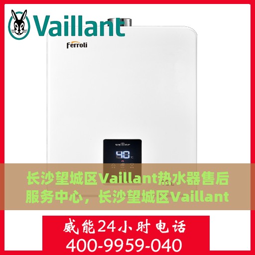 长沙望城区Vaillant热水器售后服务中心，长沙望城区Vaillant热水器售后服务中心，专业维修与服务团队