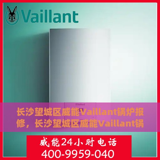 长沙望城区威能Vaillant锅炉报修，长沙望城区威能Vaillant锅炉维修与报修指南