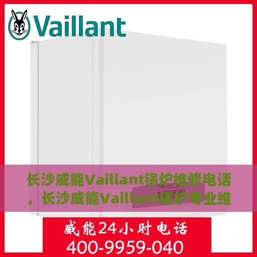 长沙威能Vaillant锅炉维修电话，长沙威能Vaillant锅炉专业维修服务热线