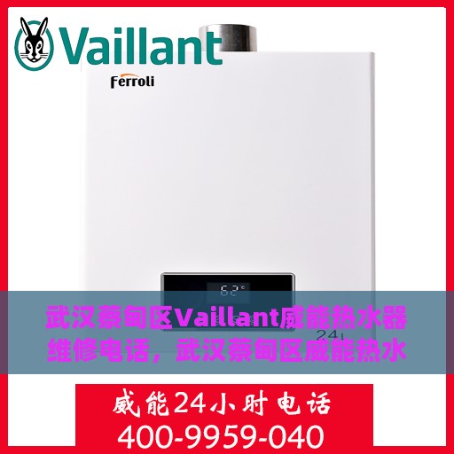 武汉蔡甸区Vaillant威能热水器维修电话，武汉蔡甸区威能热水器维修热线及专业服务团队