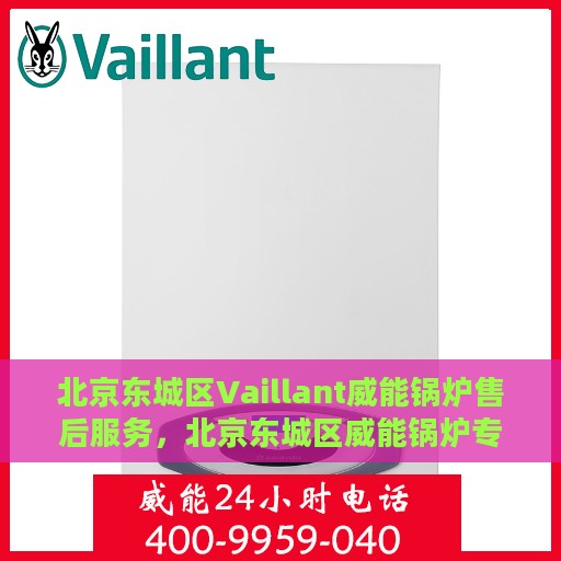 北京东城区Vaillant威能锅炉售后服务，北京东城区威能锅炉专业售后服务团队，全面解析您的锅炉需求与疑难解答