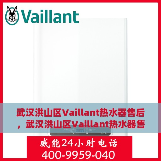 武汉洪山区Vaillant热水器售后，武汉洪山区Vaillant热水器售后服务全解析